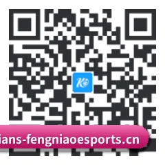 系统版 Android 二维码